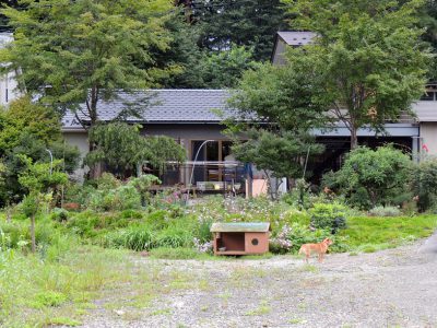 木々のささやきが聞こえる農家民宿「秋元」（川内村）を訪ねました。