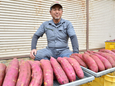 遊休農地をサツマイモで再生、ブランド確立目指す松や農園（田村市）